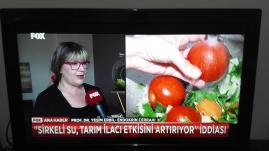 Sebze ve meyvelerI sirkeli suyla yıkamayın